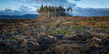 Copernicus Climate Change Service Says 2021 5th Warmest Year on Record