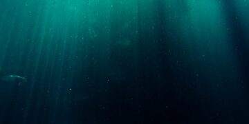 Scientists discover unique microorganisms in oceans that thrive without sun