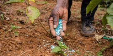 Fertilizers have expanded food production, but agricultural intensification comes at a cost to the environment, climate, human, animal, and soil health,