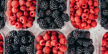 The British company Clock House Farm has launched a project to grow berries regardless of the season through renewable energy sources, with the project costing £10 million.