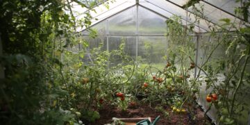 geothermal greenhouses in turkey grow by 400%