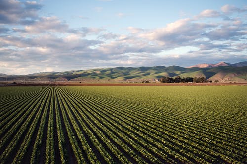 Farm and food investors face losses on climate change-report