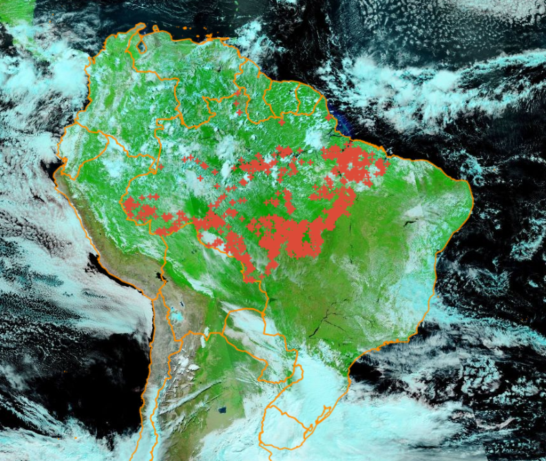 Saving Amazon rainforest is crucial to achieve global climate goals