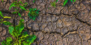 EU wants political influence with three climate laws