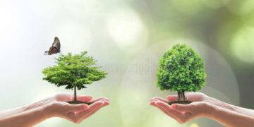 Saving nature needs investments from the governments and business too