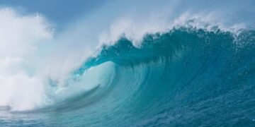 Wave energy systems work, even though they are expensive