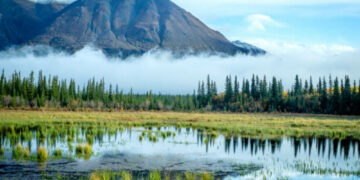 Willow oil project in Alaska approved by Biden administration